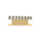 PENT. COLMIA Set - Dumbbells on a Horizontal Wooden Stand