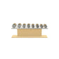 PENT. COLMIA Set - Dumbbells on a Horizontal Wooden Stand