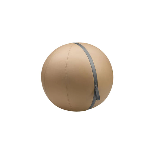 Luxury fitness equipment, fitness ball wrapped in luxurious leather. In default color settings. PENT. MESNA