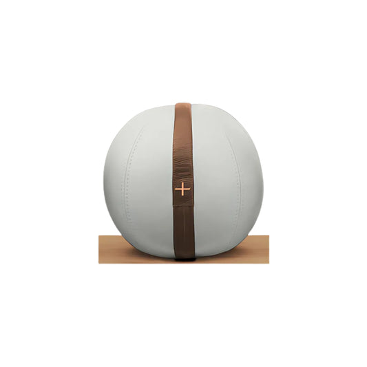 PENT MOXA weighted gym ball. Gym Design by Cycling Bears. Leather medicine ball customisable in different weights.