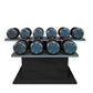 PENT. COLMIA Ultra Power Set - Dumbbells on a Horizontal Wooden Stand